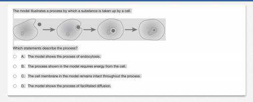The model illustrates a process by which a substance is taken up by a cell. Series of four pictures
