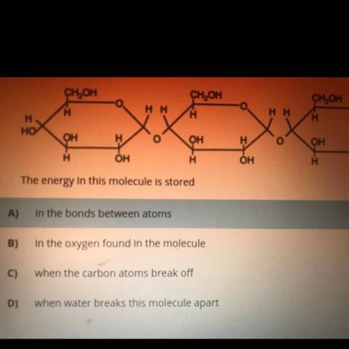 18)

Base your answer on the diagram below and on your knowledge of biology. The diagram
represent