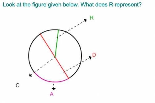 Look at the photo
answers are
radius 
diameter
center
circumference