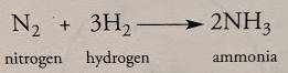 In the chemical equation below, which of the following best describes the products?