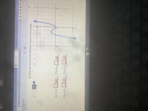Fill in the correct end behavior based on the graph