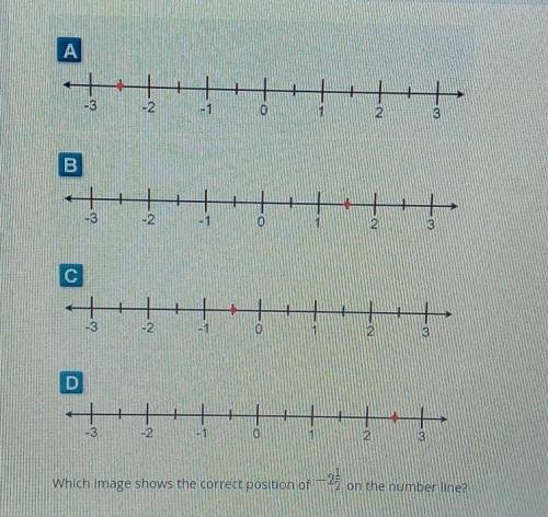 Which image shows the correct position -2 1/2on the number line