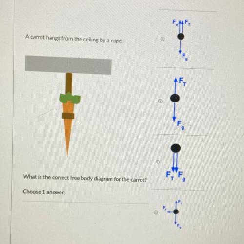 URGENT. A carrot hangs from the ceiling by a rope,

What is the correct free body diagram for the