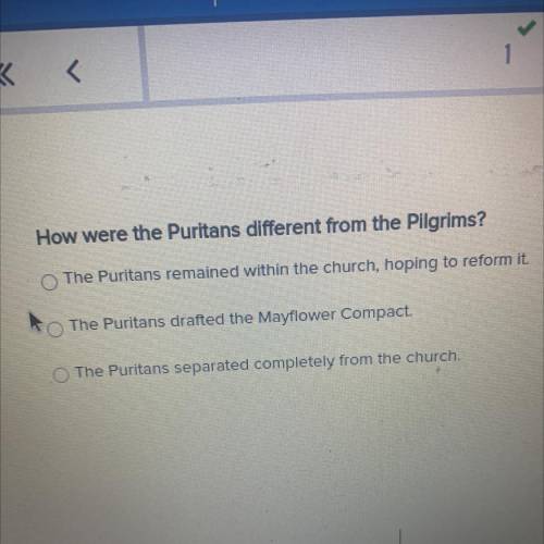 How were the Puritans different from the Pilgrims?

The Puritans remained within the church, hopin