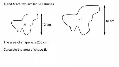 What is the area of shape B?