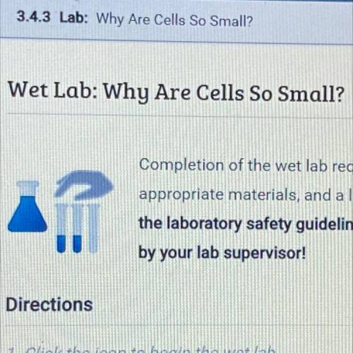 Anyone have the answers to this lab ‍♀️