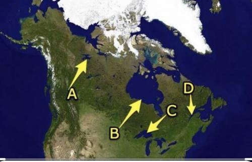 The arrow labeled D is pointing to the

A)
Fraser River.
B)
Columbia River.
C)
Mackenzie River.
D)