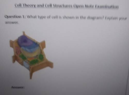 What type of cells is shown in the diagram