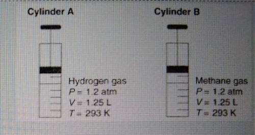 Diagram shows that both gases occupy the same volume under the same conditions of temperature and p