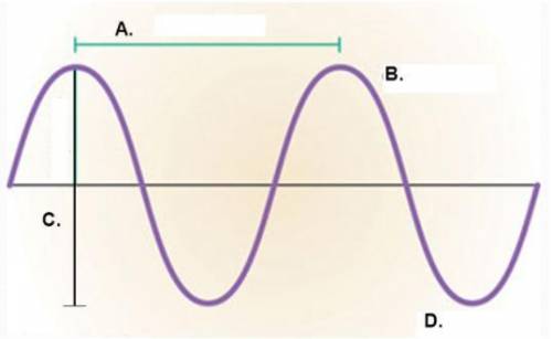 Match the word to the part of the wave. (Lesson 4.02)

Question 9 options:
Wavelength 
Crest 
Trou