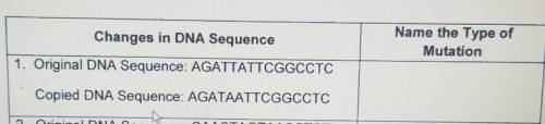 Name the type of mutation