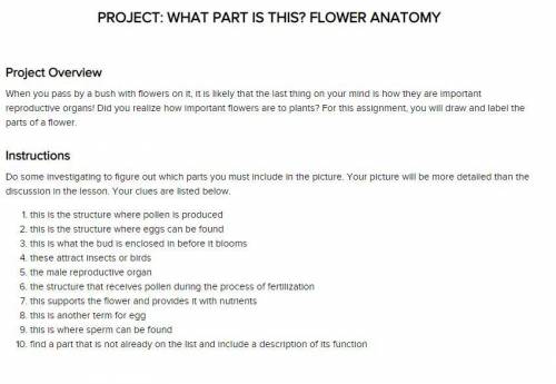 PROJECT: WHAT PART IS THIS? FLOWER ANATOMY

Project Overview
When you pass by a bush with flowers