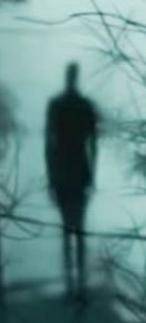 I saw some sort of dark figure that was really tall and skinny and had a human like structure last