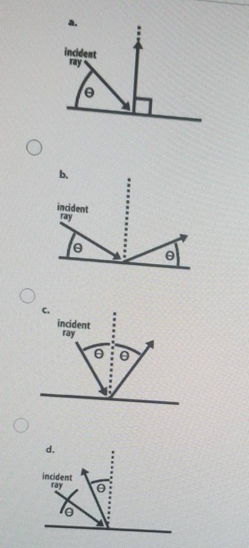 Which shows the correct angle of reflection given the incident ray shown?
