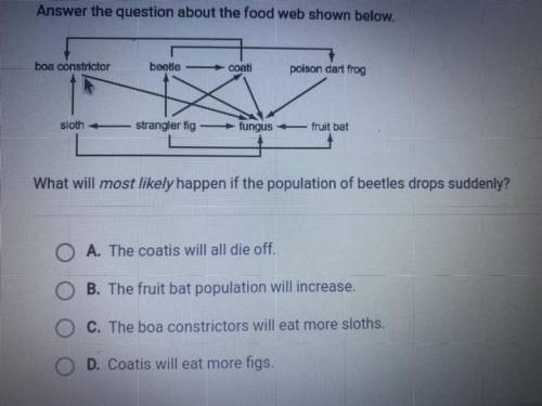 Answer the question about the food web shown below.

boa constrictor
beetle-coati
poison dart frog