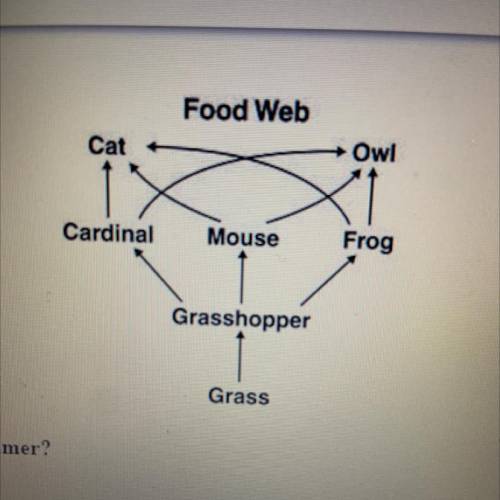 In this food web, which animal has the role of the tertiary (third) consumer?

Owl
Frog
O Cardinal