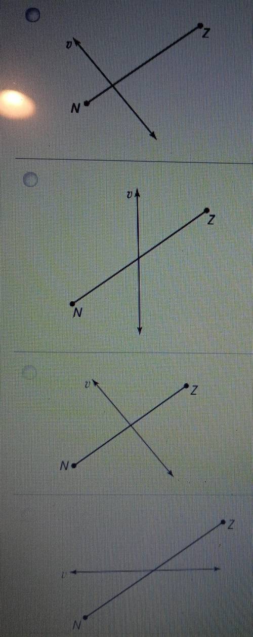 Which figure shows line v as a perpendicular bisector of NZ?
