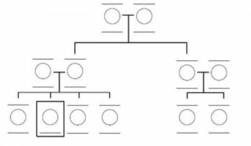 Pls fill out family tree.

The square box means methen write relationships for each one