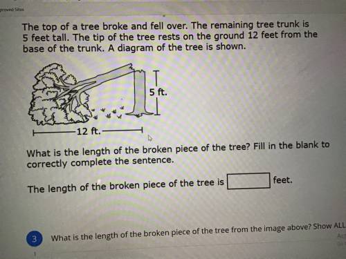 Show y’all work please Y’all please help me with this I don’t understand
