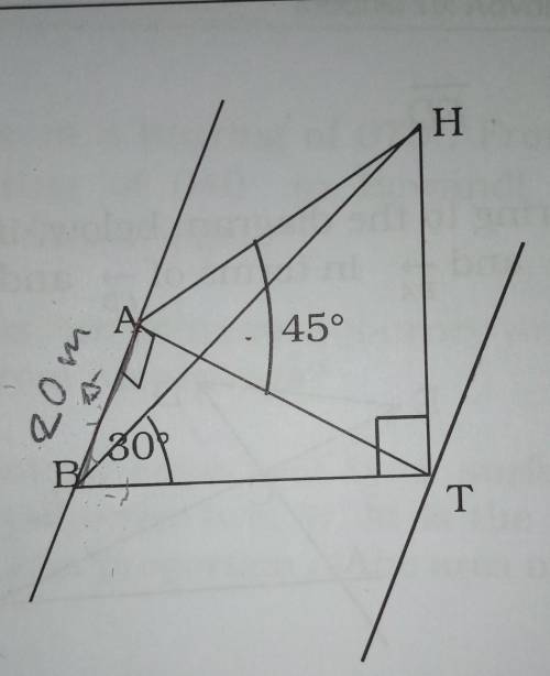 MATHS HELP ASAPPPP.. 35 POINTS

Questions: If the width AT is w metres1. Use triangle AHT to find