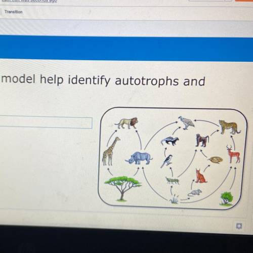 Help

How does a food web model help identify autotrophs and
heterotrophs?
Type your answer here
C