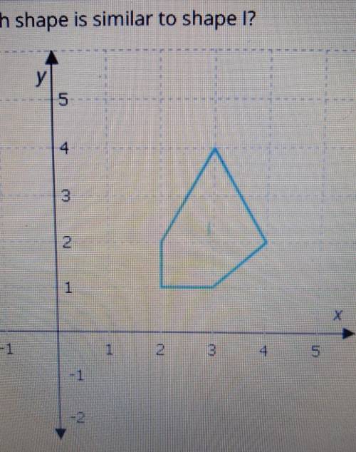 Which shape is similar to shape l?