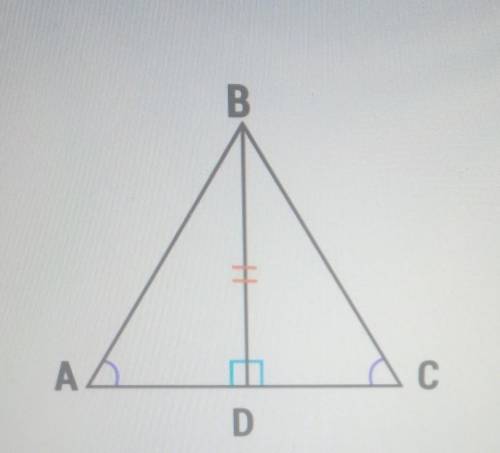 Is there enough information to prove that the triangles are congruent? If yes, provide the correct