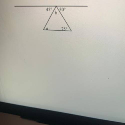 (17) Find the measures of angles a.