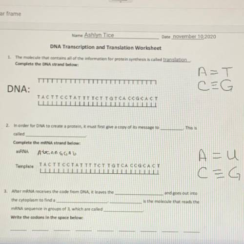 How do I do this DNA TRANSCRIPTION AND TRANSLATION????