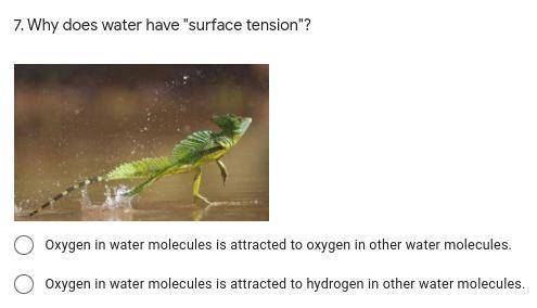 Why does water have surface tension?