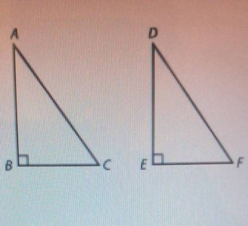 WILL GIVE BRAINLIEST If ZB and ZE are both right angles, and ZA = ZD, what else must be true if ABC