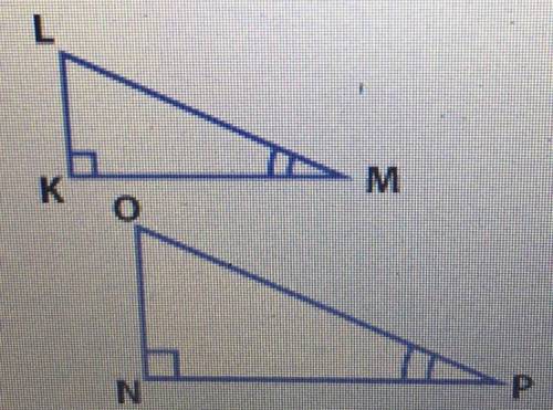 What similarity property, if any, can be used to show that the following two triangles are similar.