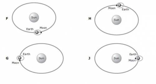 Relative positions of the Sun, Earth and Moon have different effects on Earth's oceans. Which model
