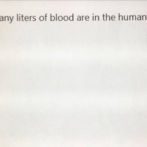How many liters of blood does a human body have