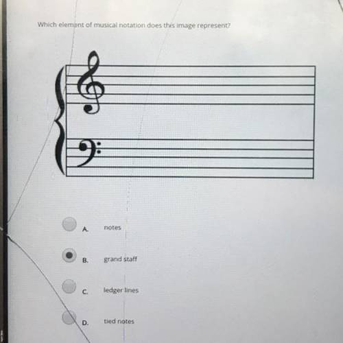 Which element of musical notation does this image represent?

A.
notes
B.
grand staff
C.
ledger li