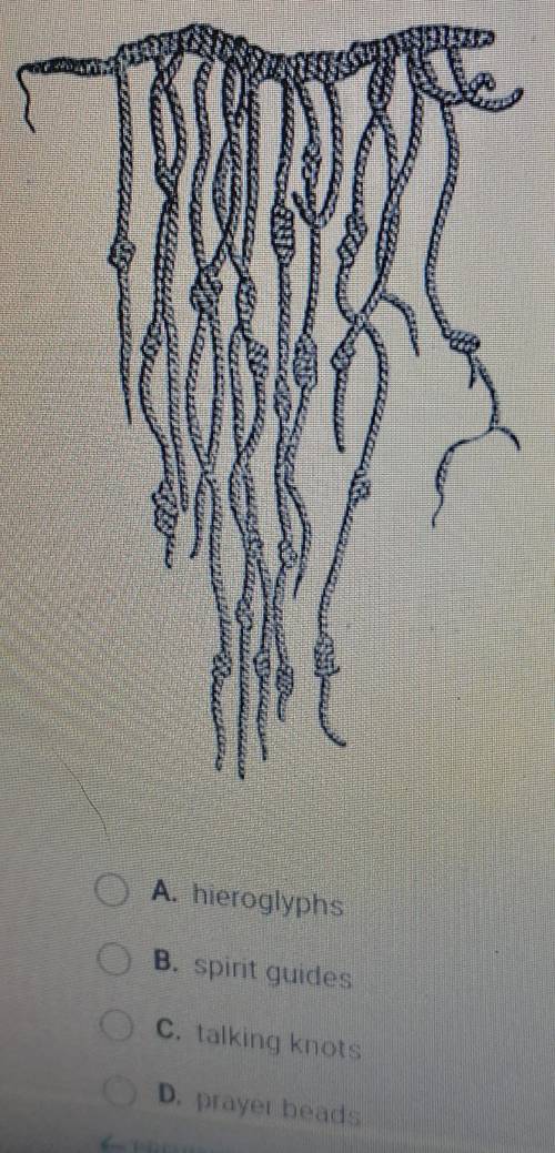 Look at this drawing of an Inca quipu. These recording devices were known A. hieroglyphs B. spirit