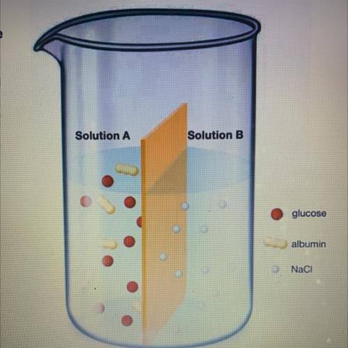 Consider two solutions separated by a semipermeable membrane, as shown in the illustration to the r