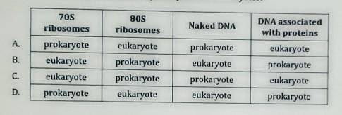 Which of the following are features of prokaryotes and eukaryotes?