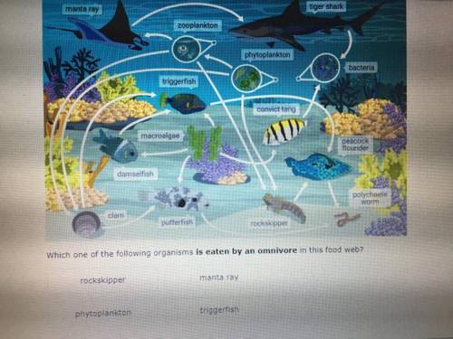 Which one of the following organisms IS EATEN BY AN OMNIVORE in this food web?

If you don’t know