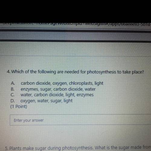 Which of the following are needed for photosynthesis to take place ?