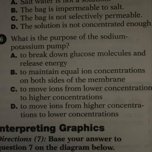 Please help me with #6 please