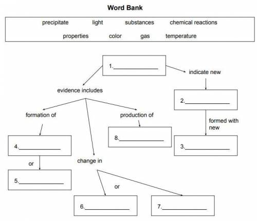 Graphic organizer: Use the terms in the word bank to complete the graphic organizer below