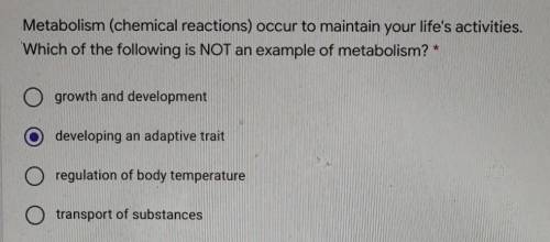 4 points Metabolism (chemical reactions) occur to maintain your life's activities. Which of the fol