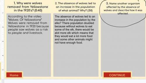 Name another organism affected by the absence of wolves and describe how it was affected.