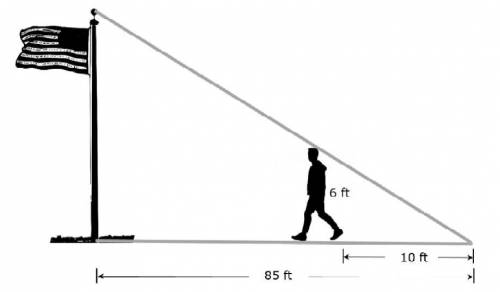 The two triangles formed by the flagpole and the man shown below are similar.

What is the height