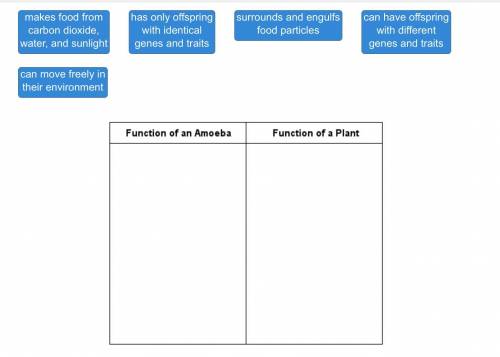 Help ASAP

Sort the functions of life based on whether they are performed by an amoeba or a plant.
