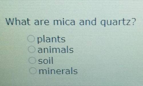 What are mica and quartz? A. plants B. animals C. soil D. minerals