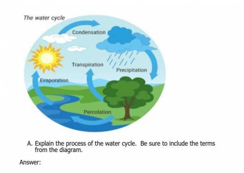 Explain the process of the water cycle. Be sure to include the terms from the diagram.

Explain th
