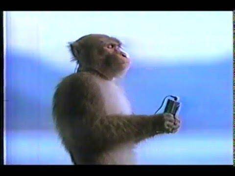 What is monke listening too?