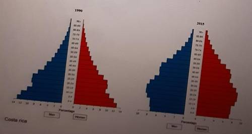 compare these to population pyramids of Costa Rica Write a brief paragraph explaining the two pyram